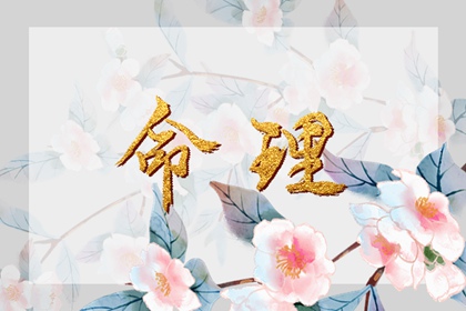 千明八字测算|八字华盖将星|杨颖八字分析|标准八字排盘|算卦批八字|九宫免费排盘