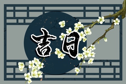 今日九星怎么读